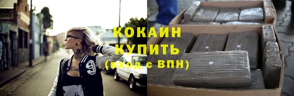 прущие грибы Абаза