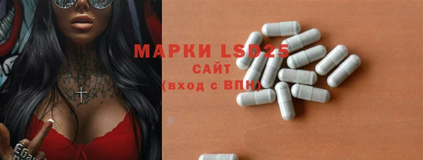 прущие грибы Абаза