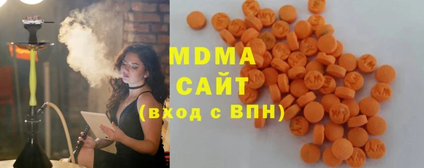 прущие грибы Абаза