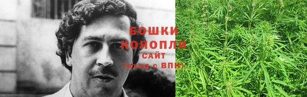 дживик Сосновоборск
