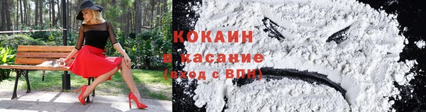 амф Сосновка