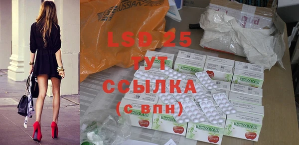 прущие грибы Абаза