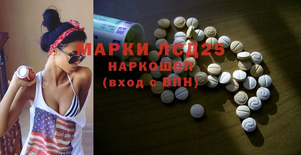 прущие грибы Абаза