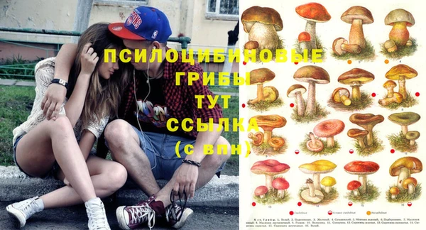 Альфа ПВП Алексеевка