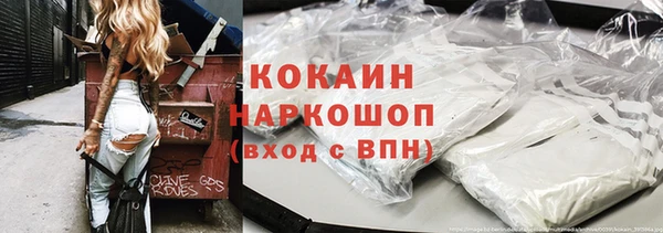 индика Алзамай
